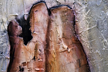 Work 3 - Obra 3  (detail/detalle)  (2013)